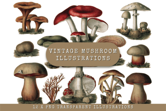 12 X Mushroom Illustrations: Unlocking Whimsical Design Assets