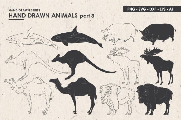 Animal Illustrations SVG Vector & PNG: A Creative Toolkit