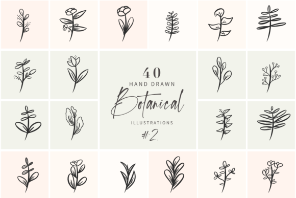 Beyond the Bouquet: Using Hand Drawn Botanical Illustrations Vol 2