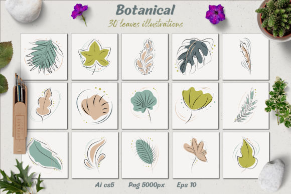 Botanical - Leaves Illustrations: A Complete Design Asset Collection