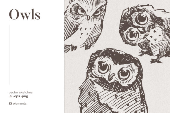 Set of Owl Illustrations: A Creative Toolkit for Designers